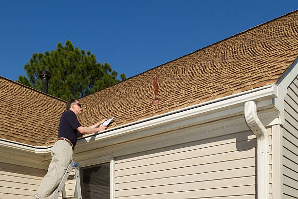 Best Roof Moss and Algae Removal  in Dennison, OH